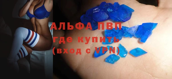 сатива Елабуга