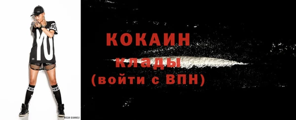 мет Дмитриев