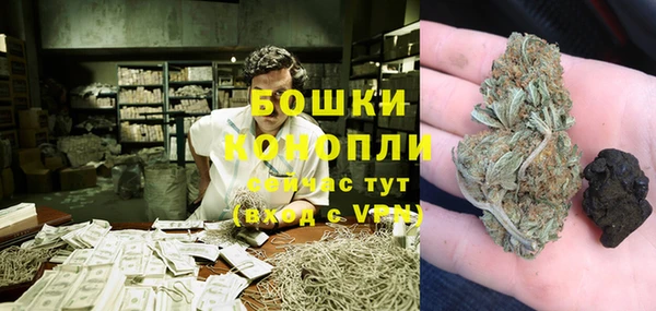 сатива Елабуга