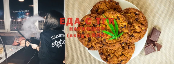сатива Елабуга