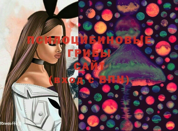 стафф Дмитровск