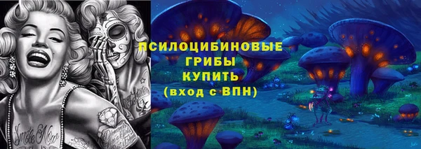 ECSTASY Дмитров