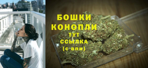 сатива Елабуга