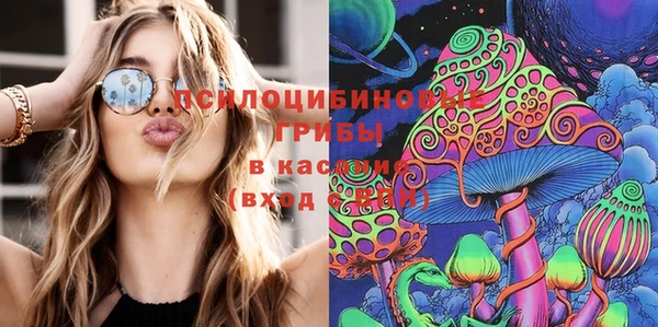 ECSTASY Дмитров