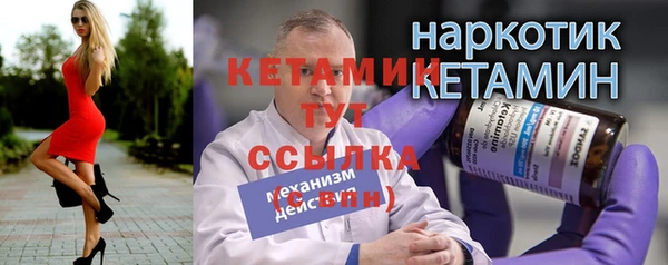 сатива Елабуга