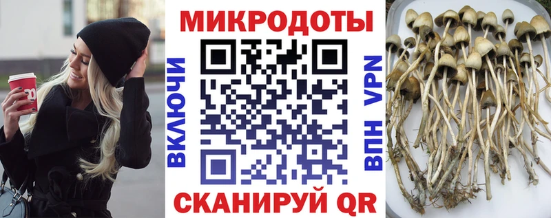 Купить где  Железноводск  Галлюциногенные грибы ЛСД 