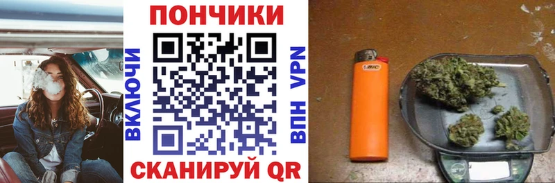 Бошки марихуана VHQ  Купить где  Железноводск 